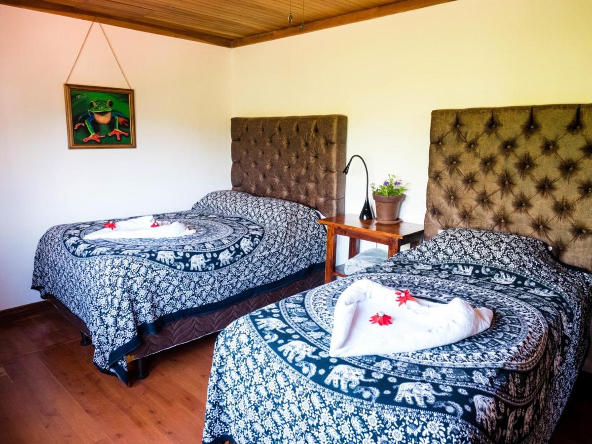 Luna Inn B&B Ciudad Cariari Eksteriør bilde