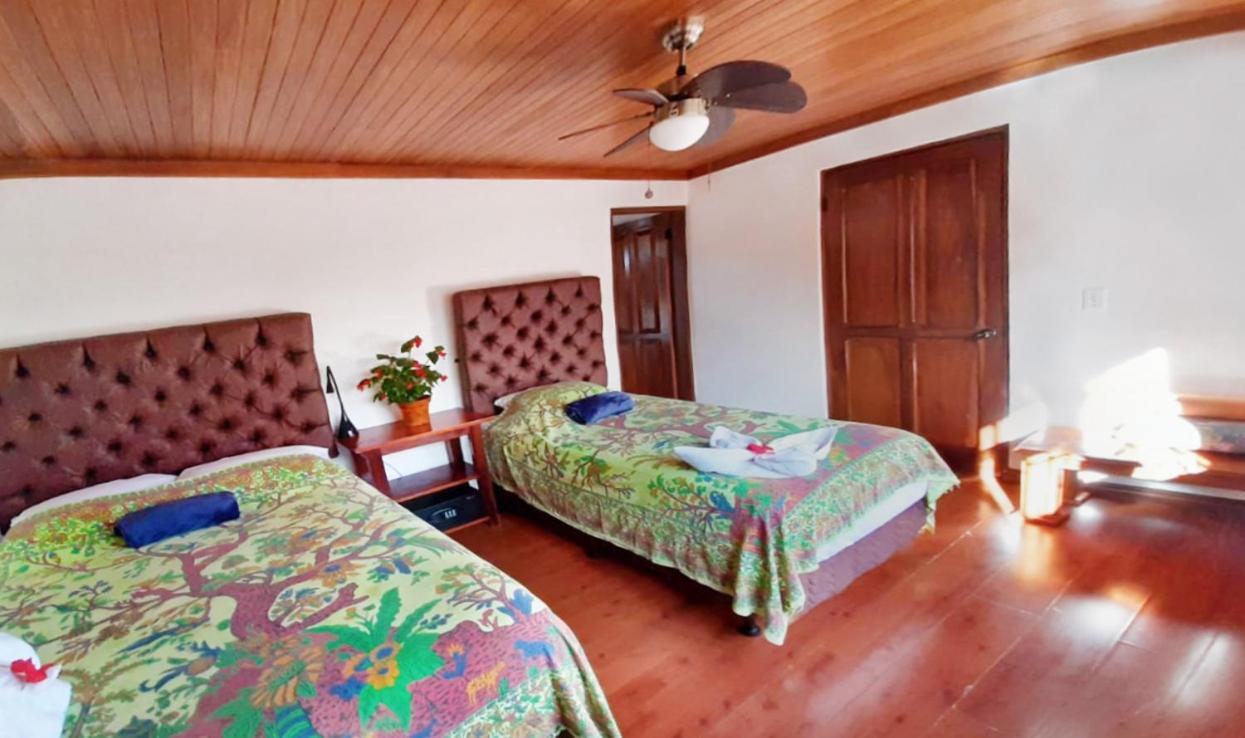 Luna Inn B&B Ciudad Cariari Eksteriør bilde